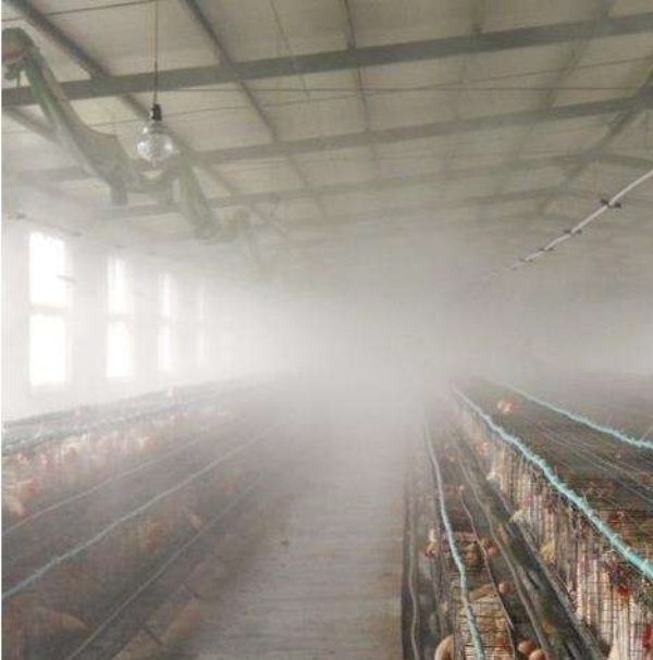 養(yǎng)雞場除臭噴淋系統(tǒng)